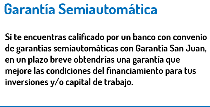 Garantía SemiAutomática